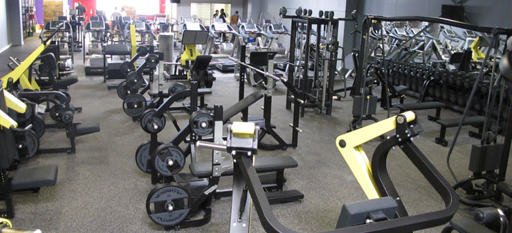 salle de musculation 95