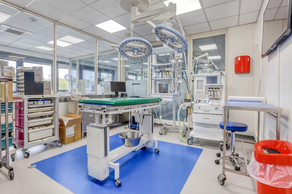 travaux amenagement clinique veterinaire 3 1024x683 - Création et aménagement d'une clinique vétérinaire