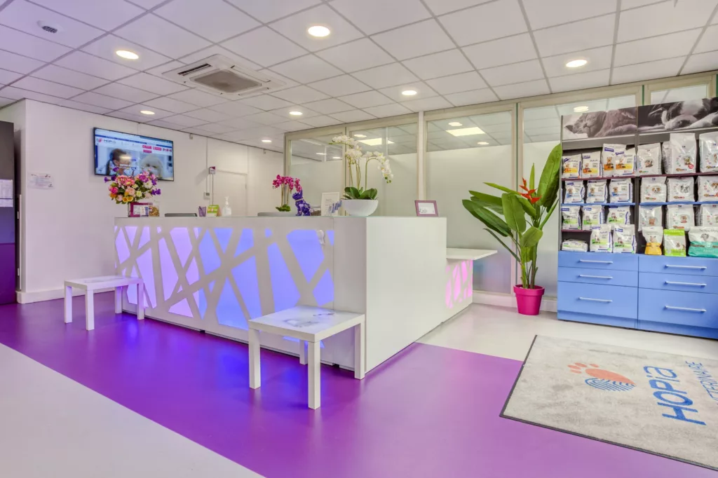 travaux amenagement clinique veterinaire 4 scaled 1024x682 - Création et aménagement d'une clinique vétérinaire